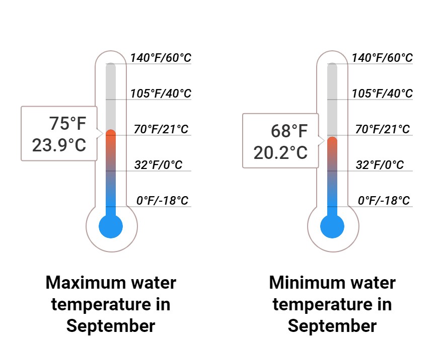 Average Sea temperature